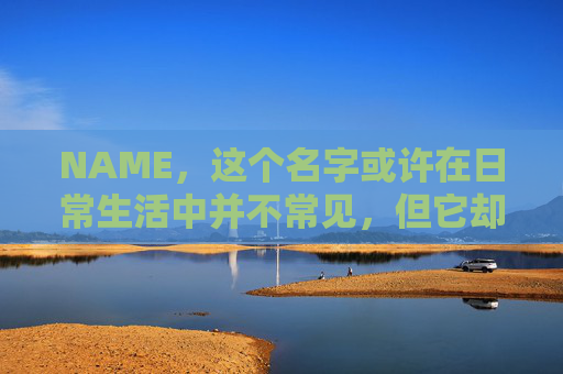 NAME，这个名字或许在日常生活中并不常见，但它却在某些领域里扮演着重要的角色。今天，让我们一起来探索这个名字背后的故事和意义